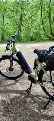 Ein E‑Bike mit Gepäck steht auf einem Waldweg zwischen grünen Bäumen.